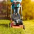 Five Mistakes to Avoid when Mowing your Lawn